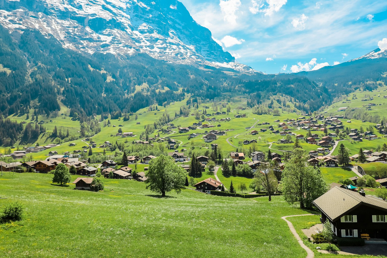 Green meadows, chalets and mountain peaks in Grindelwald
